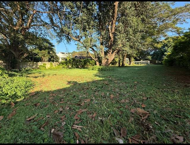 LAND FOR SALE IN MTUNZINI